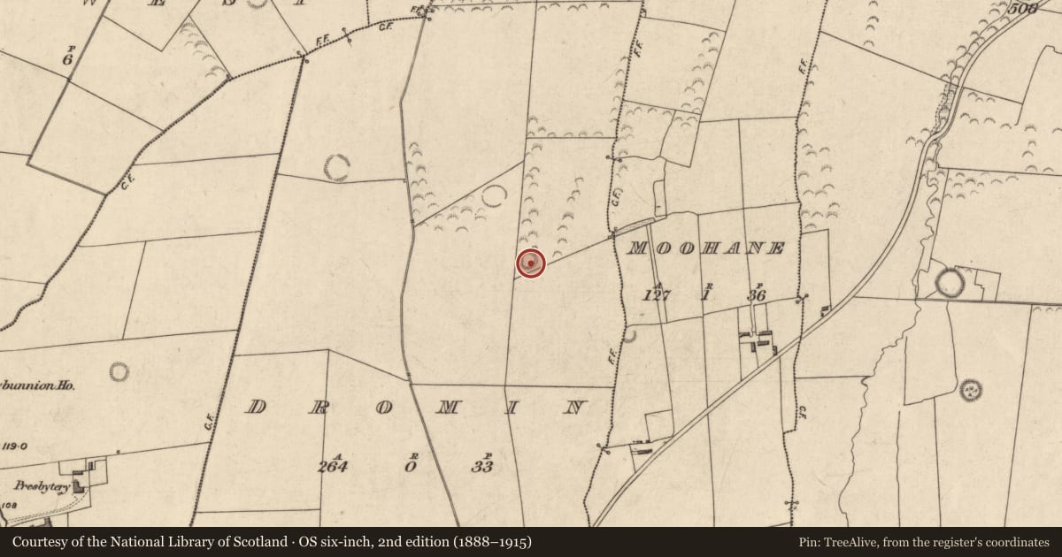 Ordnance Survey six-inch map, 2nd edition (1888–1915) covering the location of Ringfort - rath, Dromin, County Kerry, with a pin at the register's coordinates