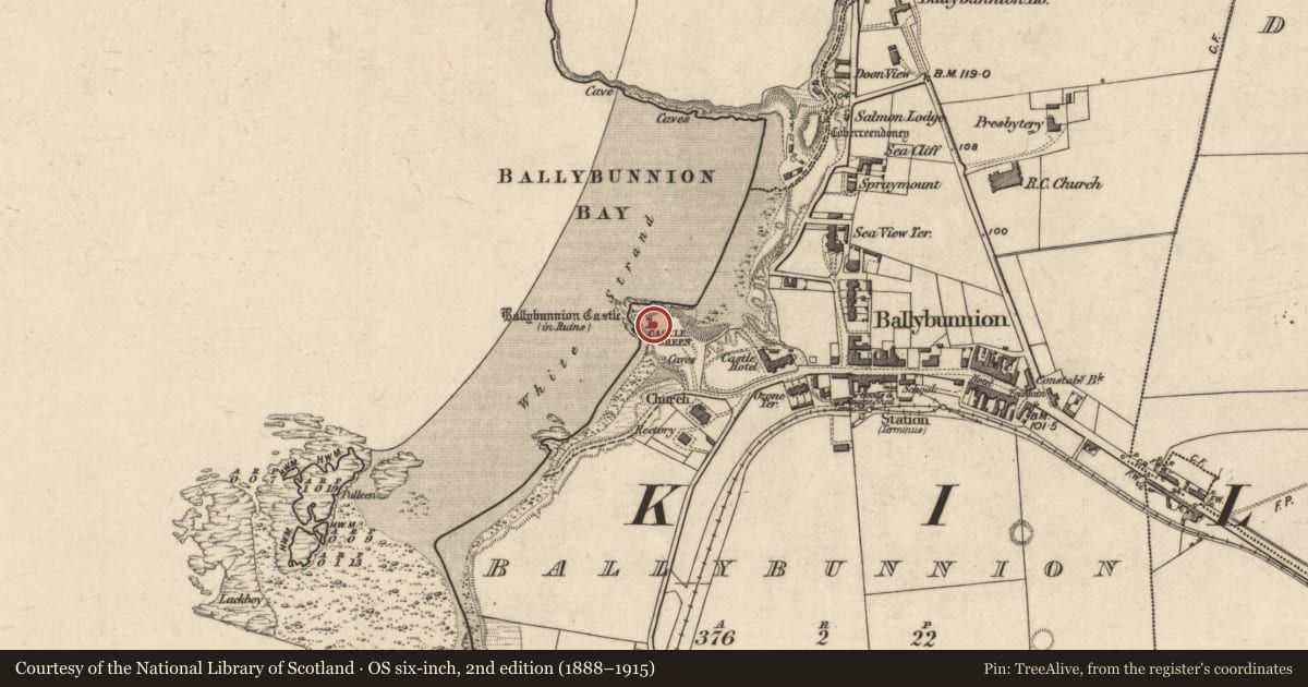 Ordnance Survey six-inch map, 2nd edition (1888–1915) covering the location of Castle - tower house, Ballybunnion, County Kerry, with a pin at the register's coordinates