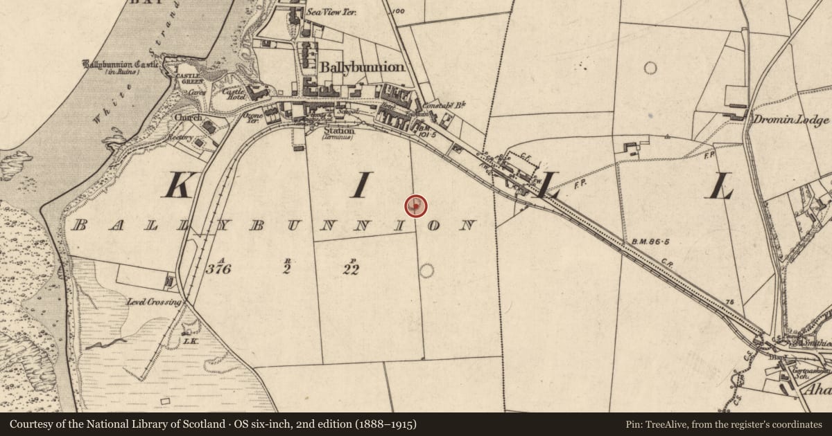 Ordnance Survey six-inch map, 2nd edition (1888–1915) covering the location of Ringfort - rath, Ballybunnion, County Kerry, with a pin at the register's coordinates