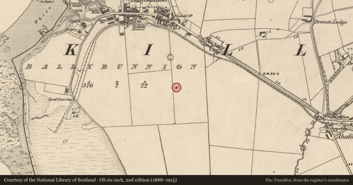 Ordnance Survey six-inch map, 2nd edition (1888–1915) covering the location of Ringfort - rath, Ballybunnion, County Kerry, with a pin at the register's coordinates