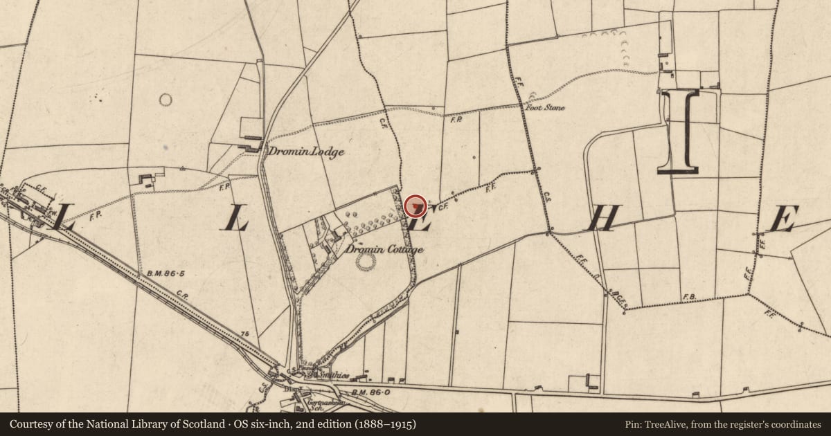 Ordnance Survey six-inch map, 2nd edition (1888–1915) covering the location of Fulacht fia, Moohane, County Kerry, with a pin at the register's coordinates