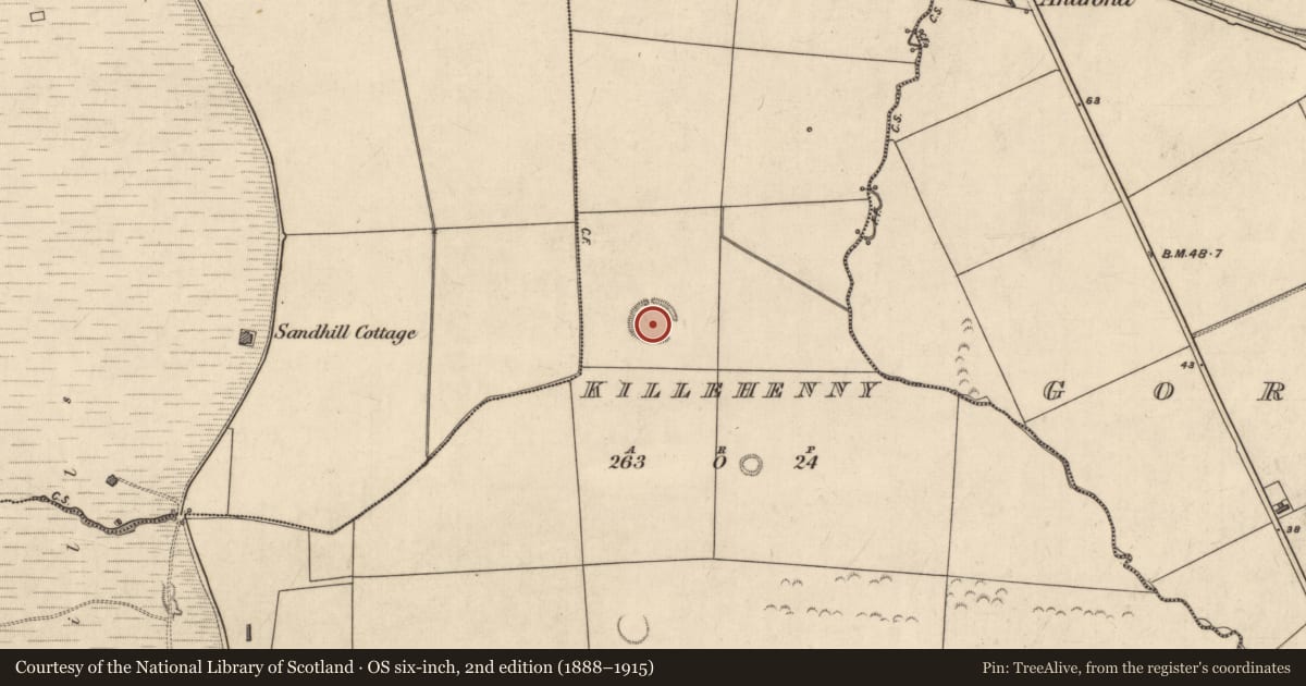 Ordnance Survey six-inch map, 2nd edition (1888–1915) covering the location of Ringfort - rath, Killehenny, County Kerry, with a pin at the register's coordinates