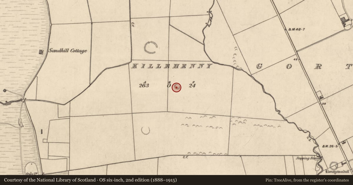 Ordnance Survey six-inch map, 2nd edition (1888–1915) covering the location of Ringfort - rath, Killehenny, County Kerry, with a pin at the register's coordinates