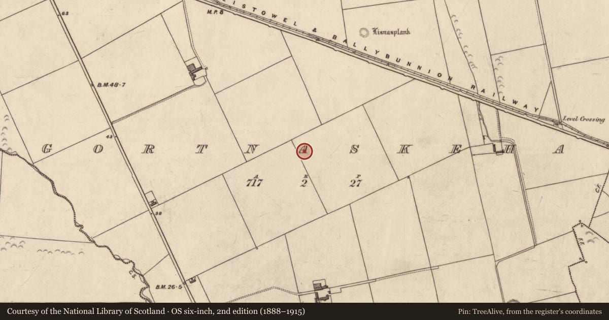 Ordnance Survey six-inch map, 2nd edition (1888–1915) covering the location of Ringfort - rath, Gortnaskeha, County Kerry, with a pin at the register's coordinates