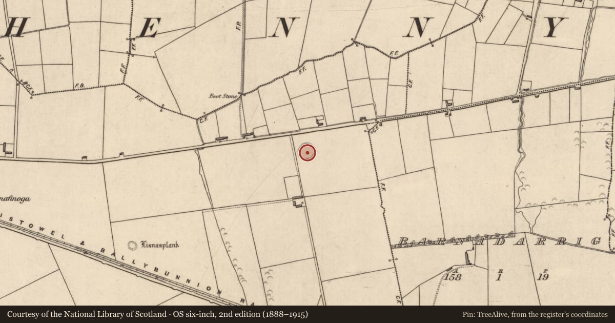 Ordnance Survey six-inch map, 2nd edition (1888–1915) covering the location of Ringfort - rath, Gortnaskeha, County Kerry, with a pin at the register's coordinates