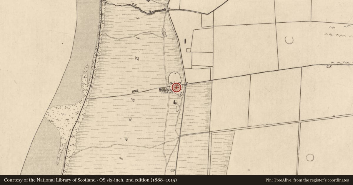 Ordnance Survey six-inch map, 2nd edition (1888–1915) covering the location of Church, Ballyeagh, County Kerry, with a pin at the register's coordinates