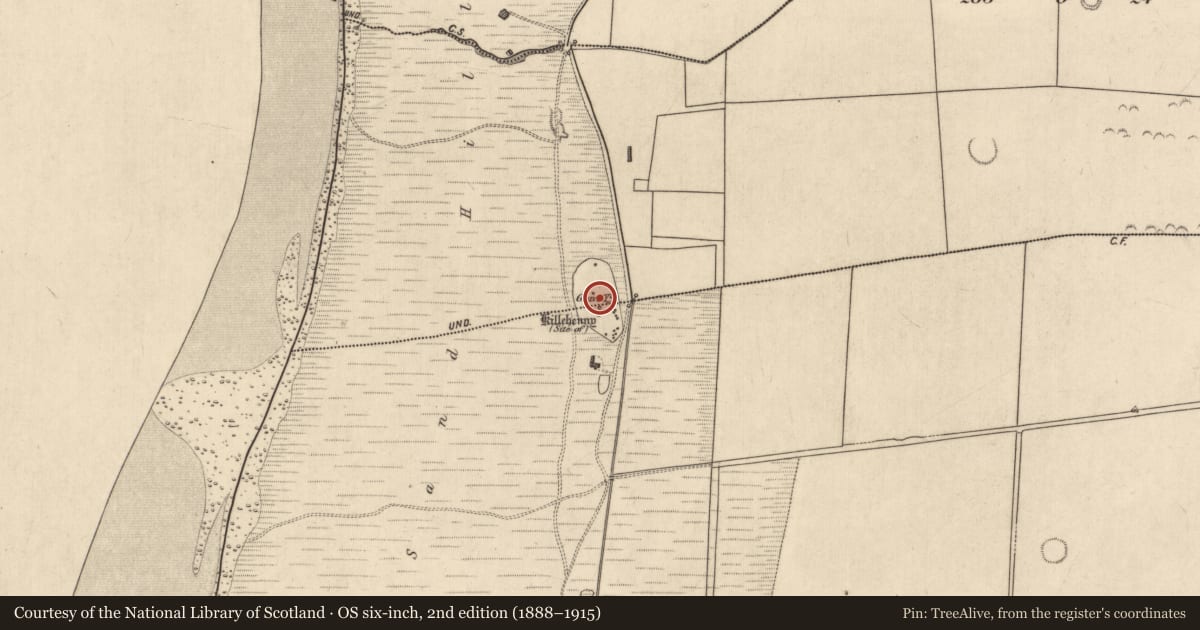 Ordnance Survey six-inch map, 2nd edition (1888–1915) covering the location of Graveyard, Ballyeagh, Killehenny, County Kerry, with a pin at the register's coordinates