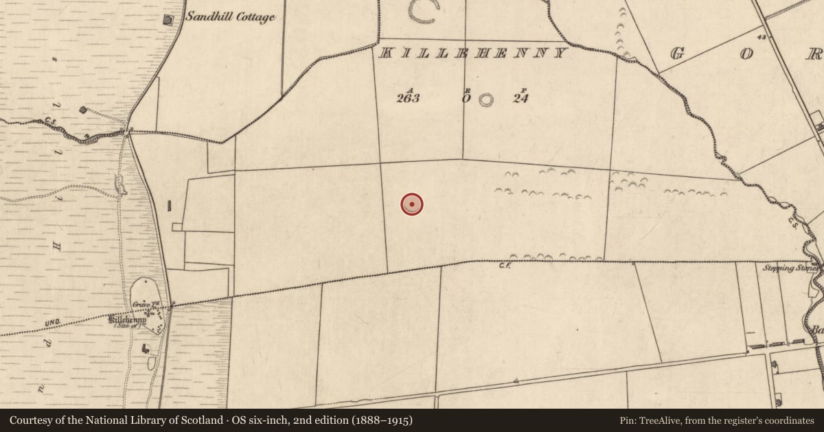 Ordnance Survey six-inch map, 2nd edition (1888–1915) covering the location of Ringfort - rath, Killehenny, County Kerry, with a pin at the register's coordinates