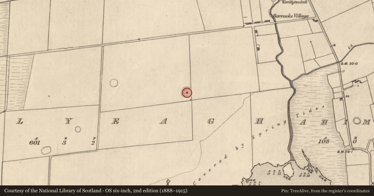 Ordnance Survey six-inch map, 2nd edition (1888–1915) covering the location of Ringfort - rath, Ballyeagh, County Kerry, with a pin at the register's coordinates