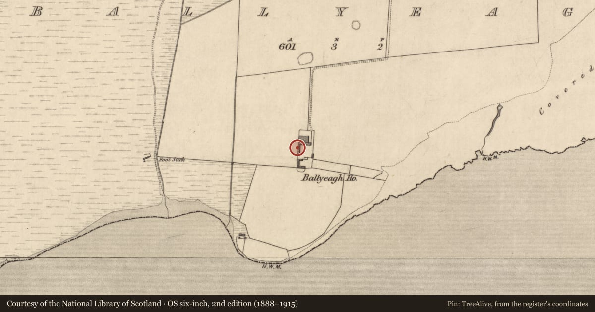 Ordnance Survey six-inch map, 2nd edition (1888–1915) covering the location of Ringfort - rath, Ballyeagh, County Kerry, with a pin at the register's coordinates