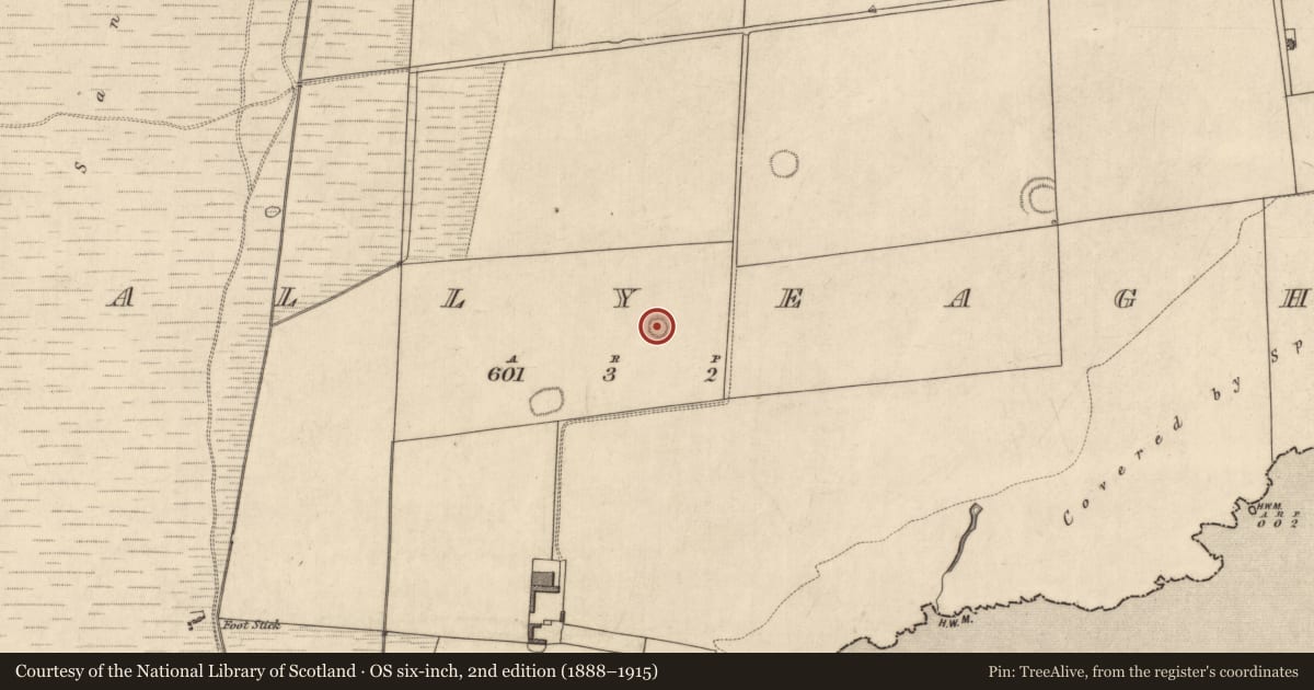 Ordnance Survey six-inch map, 2nd edition (1888–1915) covering the location of Ringfort - rath, Ballyeagh, County Kerry, with a pin at the register's coordinates