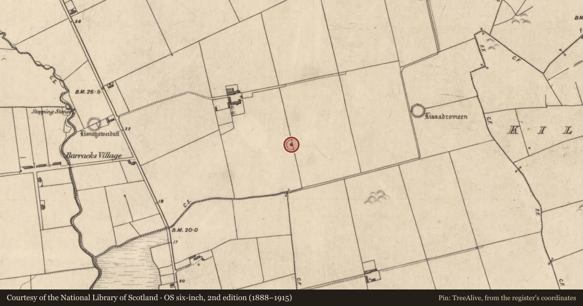 Ordnance Survey six-inch map, 2nd edition (1888–1915) covering the location of Ringfort - rath, Gortnaskeha, County Kerry, with a pin at the register's coordinates
