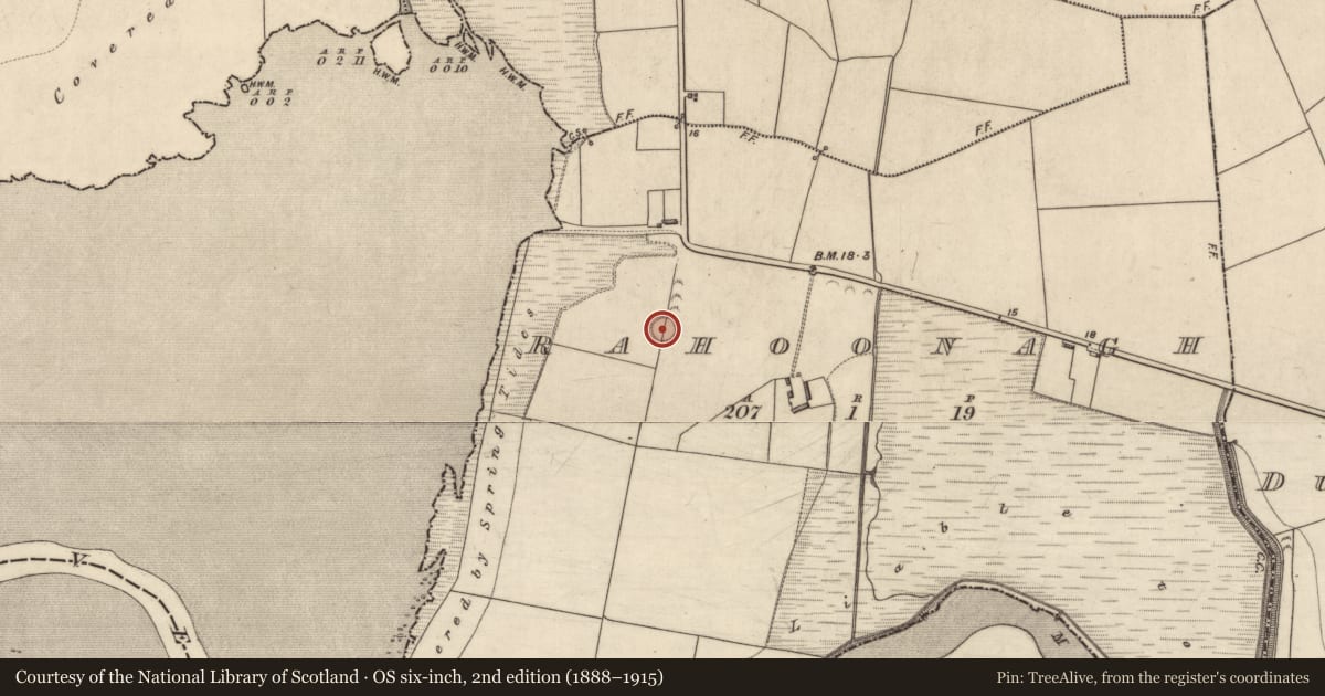 Ordnance Survey six-inch map, 2nd edition (1888–1915) covering the location of Ringfort - rath, Rahoonagh, County Kerry, with a pin at the register's coordinates