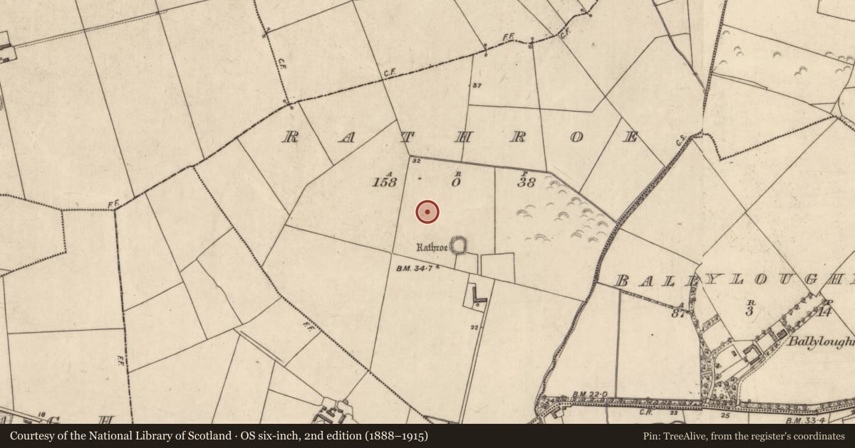 Ordnance Survey six-inch map, 2nd edition (1888–1915) covering the location of Enclosure, Rathroe, County Kerry, with a pin at the register's coordinates