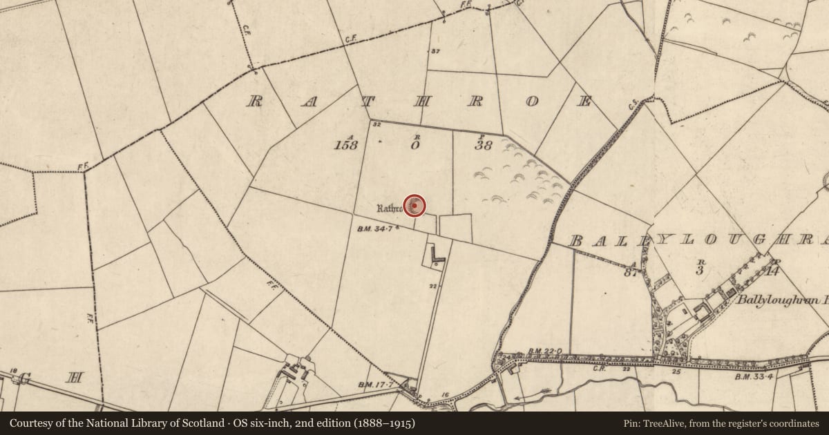 Ordnance Survey six-inch map, 2nd edition (1888–1915) covering the location of Ringfort - rath, Rathroe, County Kerry, with a pin at the register's coordinates