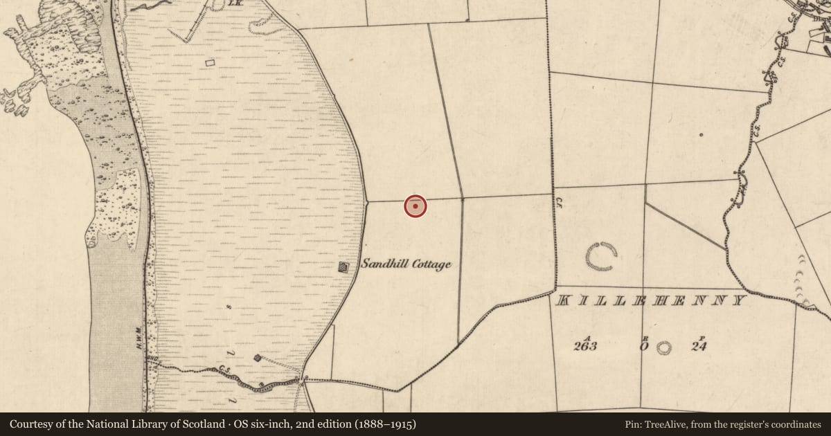 Ordnance Survey six-inch map, 2nd edition (1888–1915) covering the location of Burial, Ballybunnion, County Kerry, with a pin at the register's coordinates