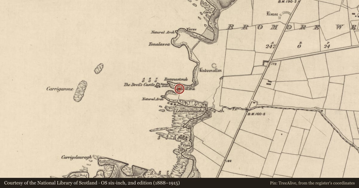 Ordnance Survey six-inch map, 2nd edition (1888–1915) covering the location of Promontory fort - coastal, Bromore West, County Kerry, with a pin at the register's coordinates