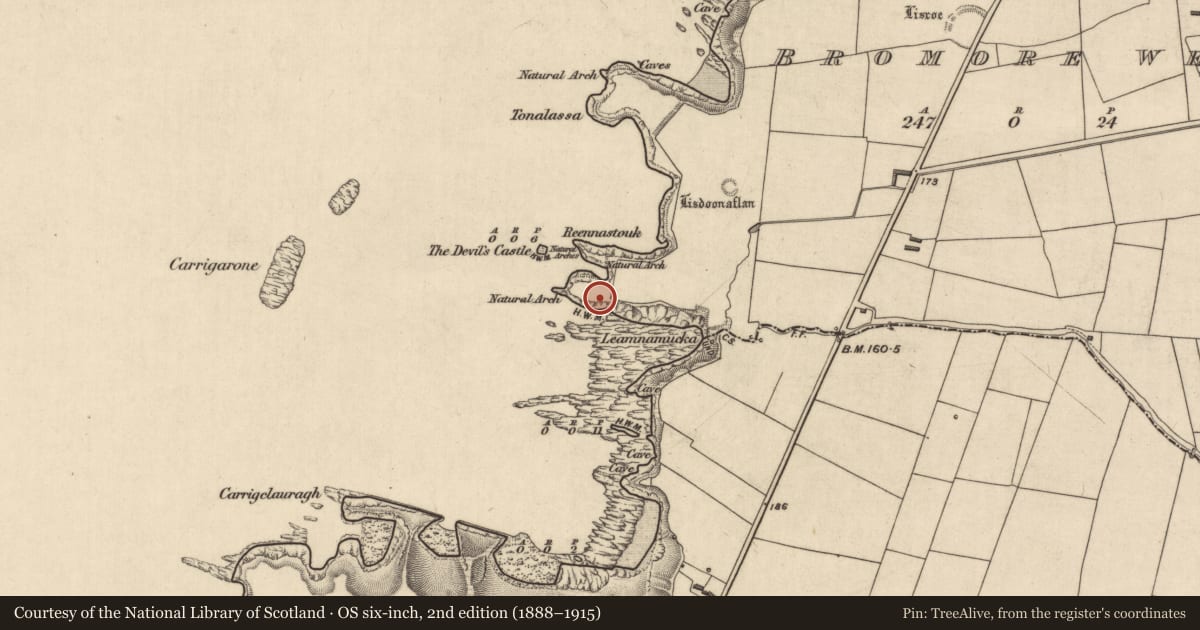 Ordnance Survey six-inch map, 2nd edition (1888–1915) covering the location of Promontory fort - coastal, Bromore West, County Kerry, with a pin at the register's coordinates