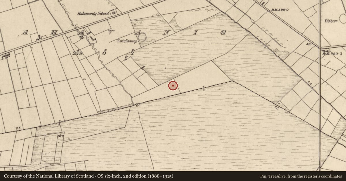 Ordnance Survey six-inch map, 2nd edition (1888–1915) covering the location of Barrow - ditch barrow, Rahavanig, County Kerry, with a pin at the register's coordinates