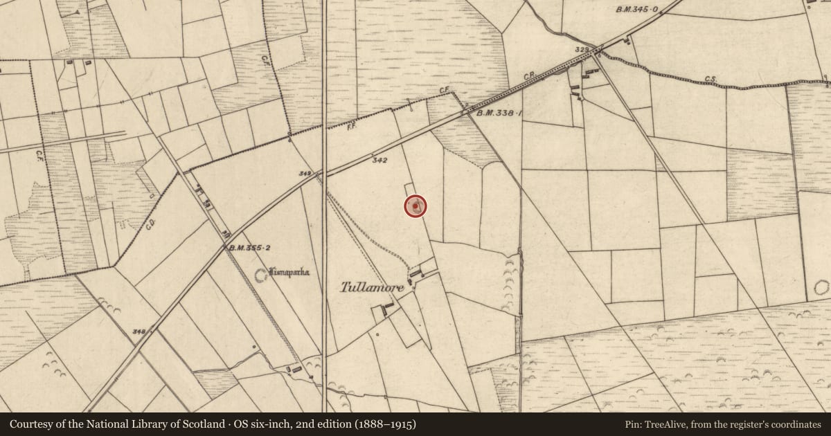 Ordnance Survey six-inch map, 2nd edition (1888–1915) covering the location of Ringfort - rath, Tulla More, County Kerry, with a pin at the register's coordinates