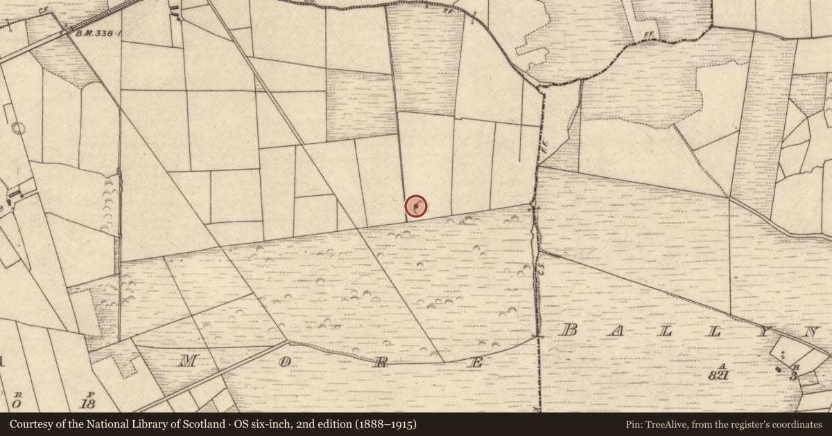Ordnance Survey six-inch map, 2nd edition (1888–1915) covering the location of Mound, Tulla More, County Kerry, with a pin at the register's coordinates