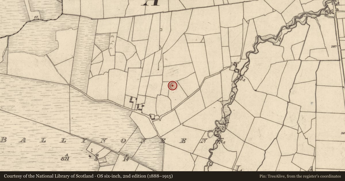 Ordnance Survey six-inch map, 2nd edition (1888–1915) covering the location of Ringfort - rath, Ballynoneen, County Kerry, with a pin at the register's coordinates