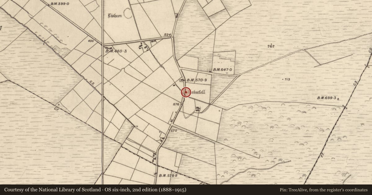 Ordnance Survey six-inch map, 2nd edition (1888–1915) covering the location of Ritual site - holy well, Tulla More, County Kerry, with a pin at the register's coordinates