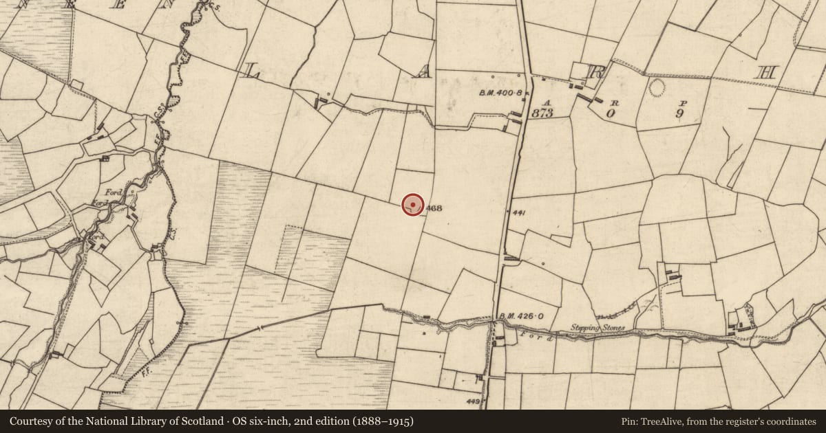 Ordnance Survey six-inch map, 2nd edition (1888–1915) covering the location of Enclosure, Larha, County Kerry, with a pin at the register's coordinates