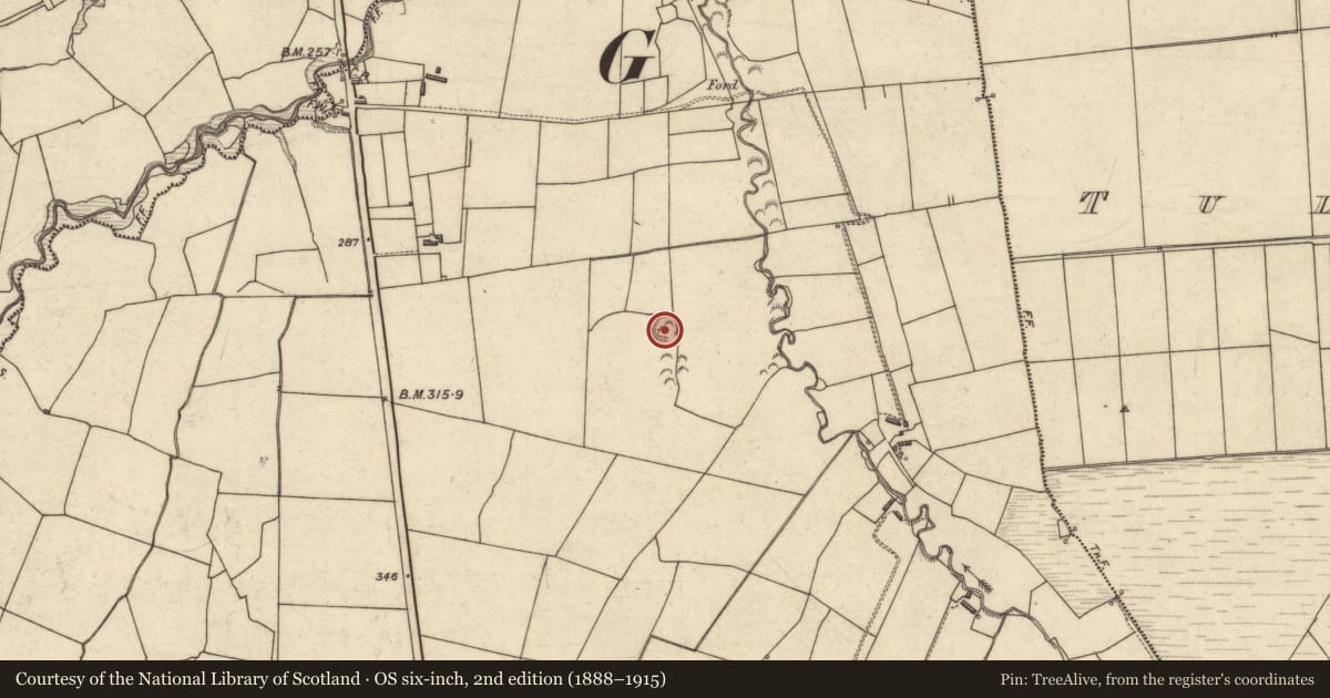 Ordnance Survey six-inch map, 2nd edition (1888–1915) covering the location of Ringfort - rath, Larha, County Kerry, with a pin at the register's coordinates