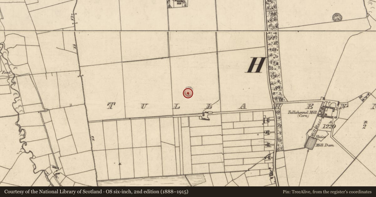 Ordnance Survey six-inch map, 2nd edition (1888–1915) covering the location of Ringfort - rath, Tullahennel North, County Kerry, with a pin at the register's coordinates