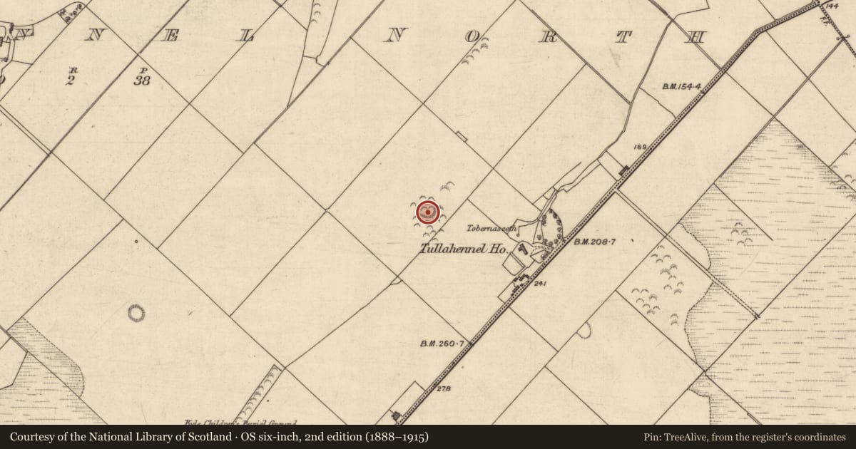 Ordnance Survey six-inch map, 2nd edition (1888–1915) covering the location of Ringfort - rath, Tullahennel North, County Kerry, with a pin at the register's coordinates