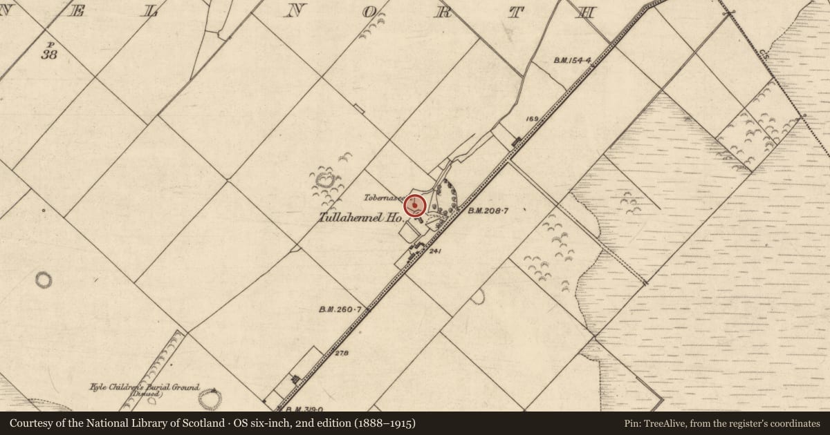 Ordnance Survey six-inch map, 2nd edition (1888–1915) covering the location of Ritual site - holy well, Tullahennel North, County Kerry, with a pin at the register's coordinates