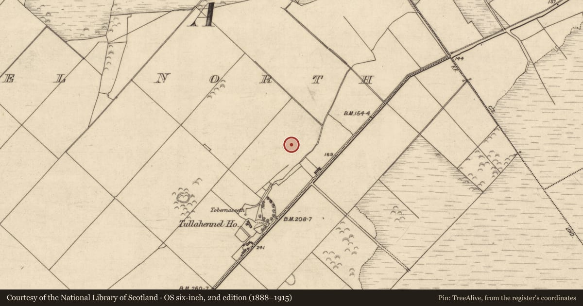 Ordnance Survey six-inch map, 2nd edition (1888–1915) covering the location of Ringfort - rath, Tullahennel North, County Kerry, with a pin at the register's coordinates