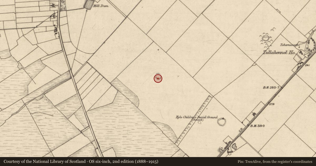 Ordnance Survey six-inch map, 2nd edition (1888–1915) covering the location of Ringfort - rath, Tullahennel North, County Kerry, with a pin at the register's coordinates