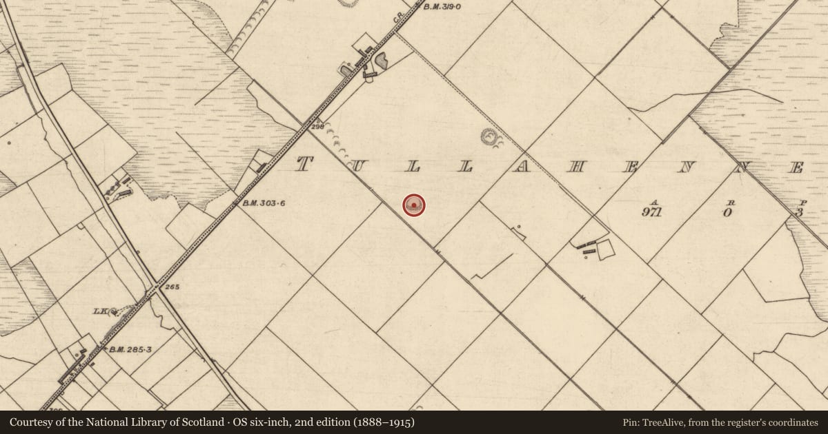 Ordnance Survey six-inch map, 2nd edition (1888–1915) covering the location of Ringfort - rath, Tullahennel South, County Kerry, with a pin at the register's coordinates