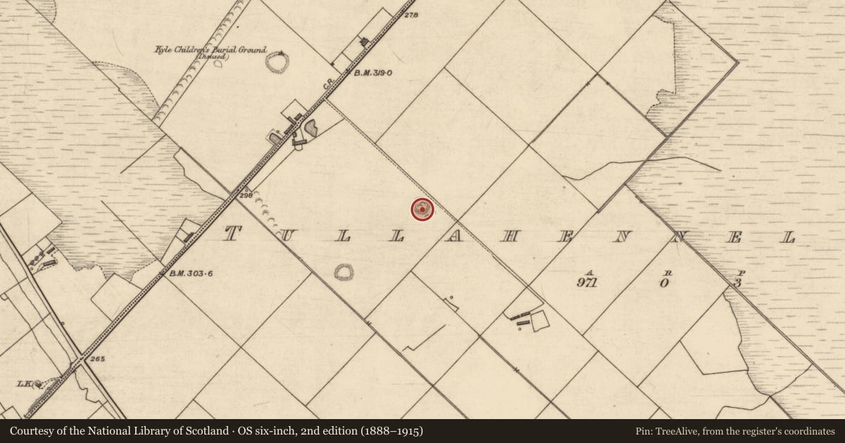 Ordnance Survey six-inch map, 2nd edition (1888–1915) covering the location of Ringfort - rath, Tullahennel South, County Kerry, with a pin at the register's coordinates