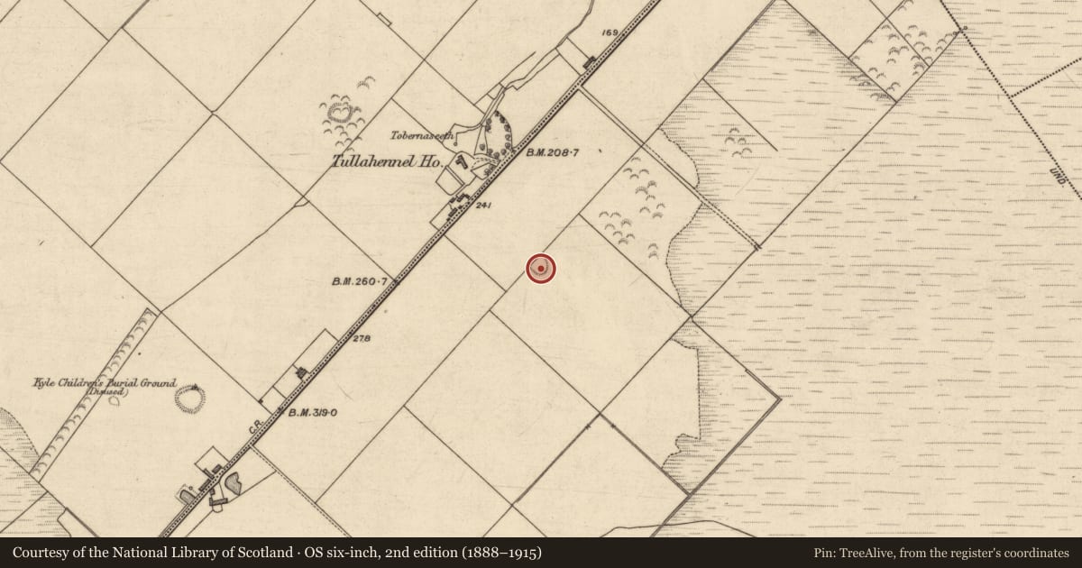 Ordnance Survey six-inch map, 2nd edition (1888–1915) covering the location of Ringfort - rath, Tullahennel South, County Kerry, with a pin at the register's coordinates