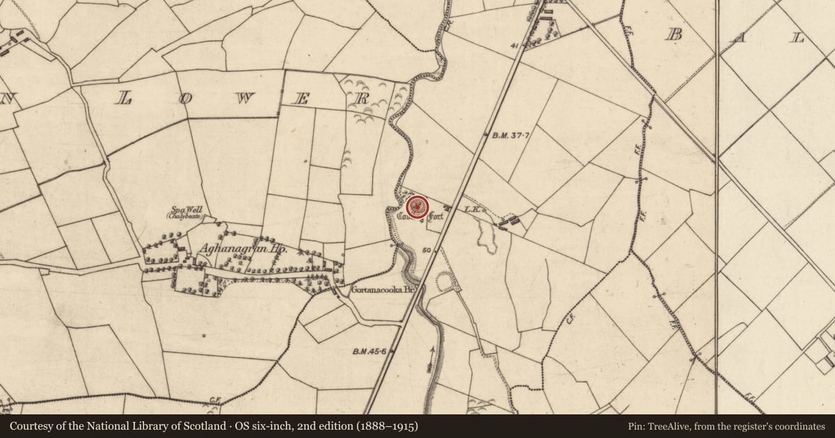 Ordnance Survey six-inch map, 2nd edition (1888–1915) covering the location of Ringfort - rath, Ballyline West, County Kerry, with a pin at the register's coordinates