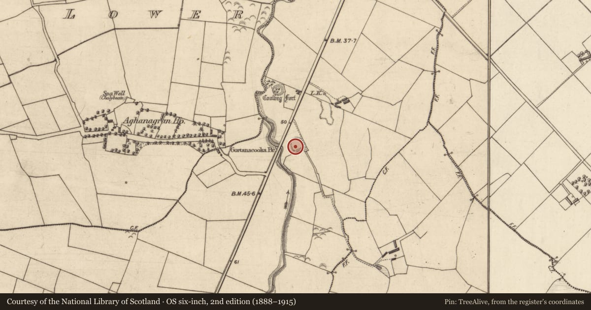 Ordnance Survey six-inch map, 2nd edition (1888–1915) covering the location of Ringfort - rath, Ballyline West, County Kerry, with a pin at the register's coordinates