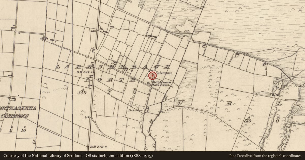 Ordnance Survey six-inch map, 2nd edition (1888–1915) covering the location of Ritual site - holy well, Lahesheragh North, County Kerry, with a pin at the register's coordinates