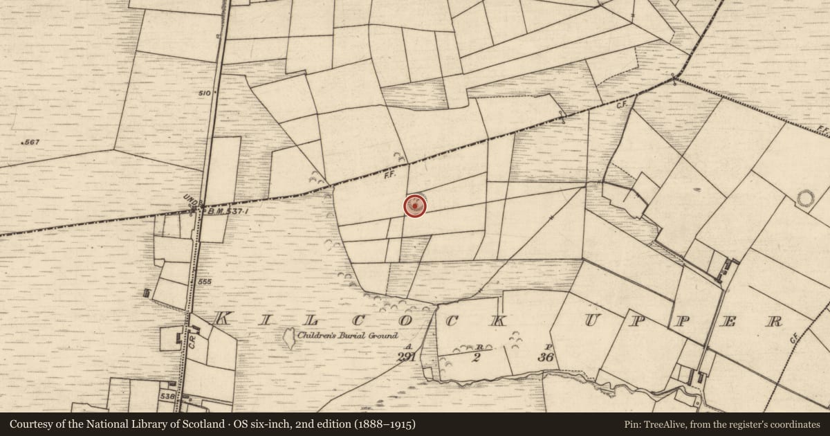 Ordnance Survey six-inch map, 2nd edition (1888–1915) covering the location of Ringfort - rath, Kilcock Upper, County Kerry, with a pin at the register's coordinates