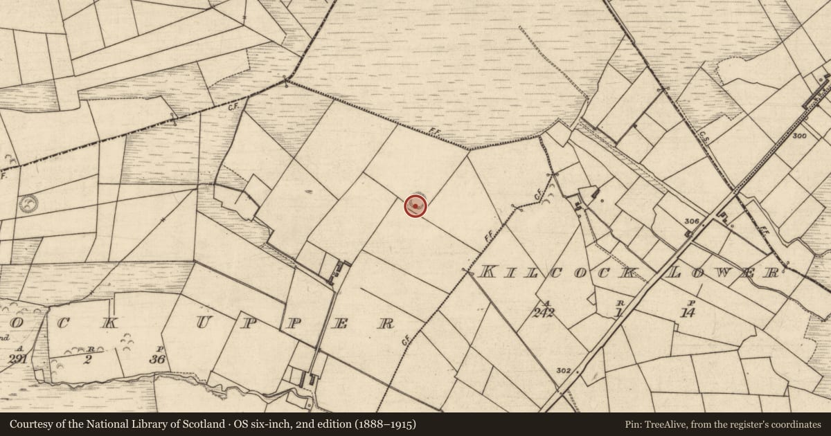 Ordnance Survey six-inch map, 2nd edition (1888–1915) covering the location of Ringfort - rath, Kilcock Upper, County Kerry, with a pin at the register's coordinates