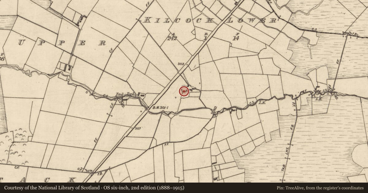 Ordnance Survey six-inch map, 2nd edition (1888–1915) covering the location of Souterrain, Kilcock Lower, County Kerry, with a pin at the register's coordinates