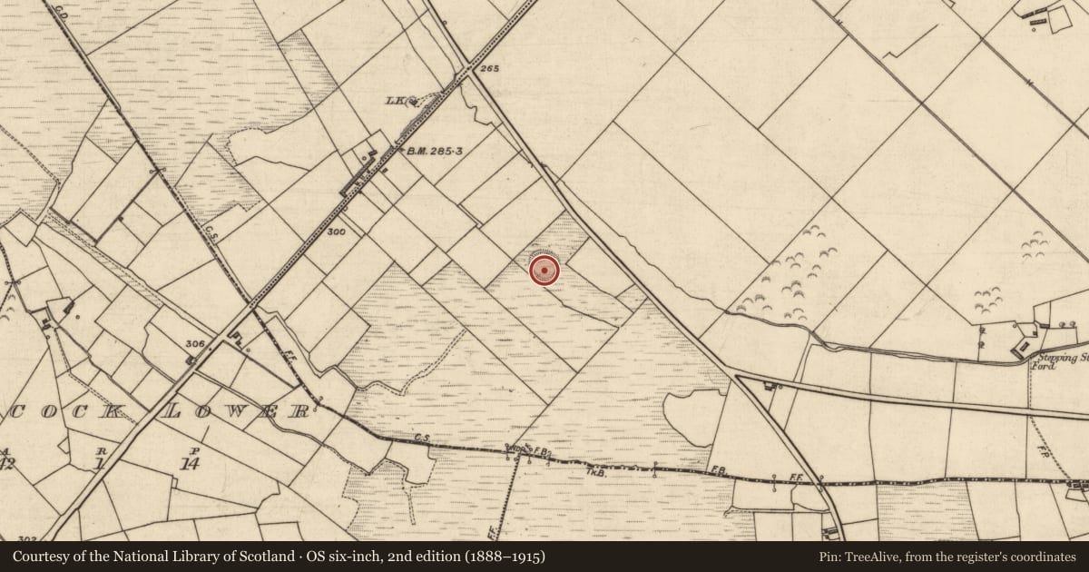 Ordnance Survey six-inch map, 2nd edition (1888–1915) covering the location of Ringfort - rath, Tullahennel South, County Kerry, with a pin at the register's coordinates