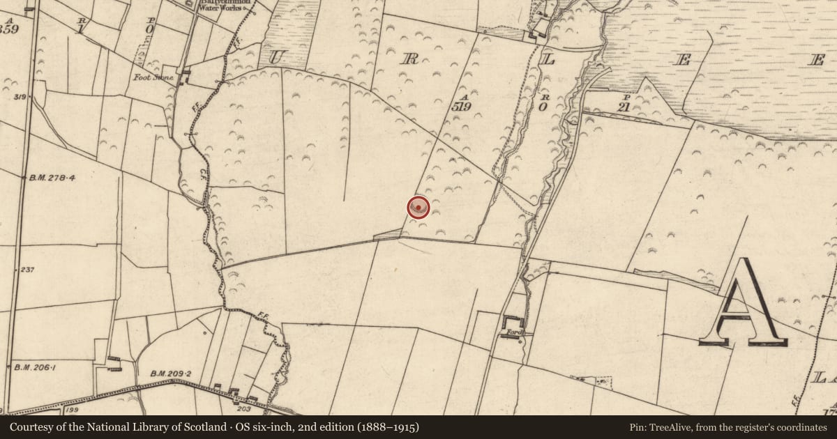 Ordnance Survey six-inch map, 2nd edition (1888–1915) covering the location of Ringfort - rath, Urlee, County Kerry, with a pin at the register's coordinates