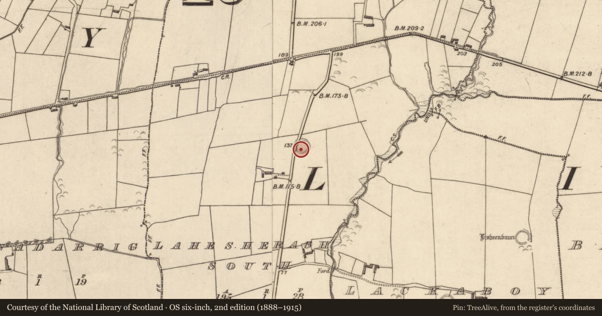 Ordnance Survey six-inch map, 2nd edition (1888–1915) covering the location of Ringfort - rath, Lahesheragh South, County Kerry, with a pin at the register's coordinates
