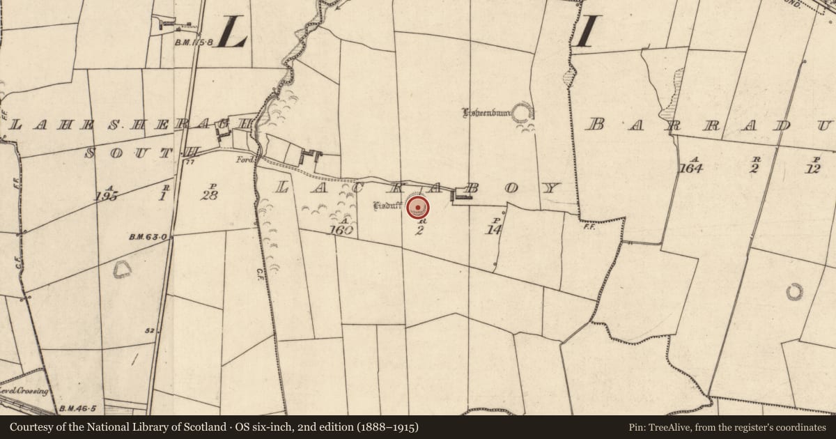Ordnance Survey six-inch map, 2nd edition (1888–1915) covering the location of Ringfort - rath, Lackaboy, County Kerry, with a pin at the register's coordinates