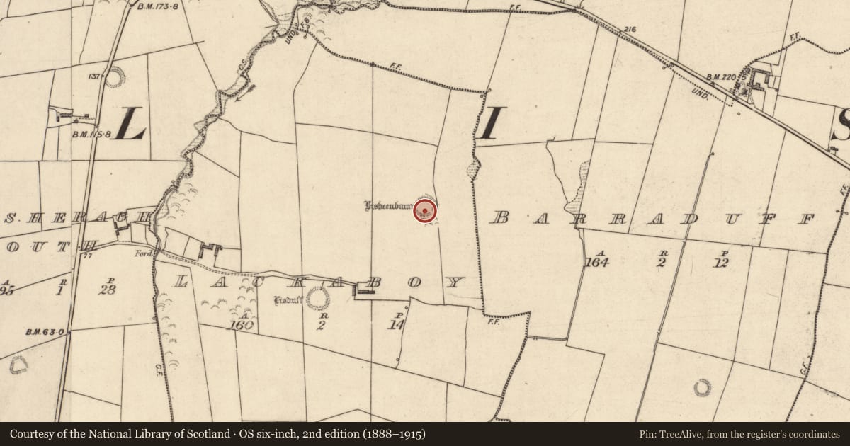 Ordnance Survey six-inch map, 2nd edition (1888–1915) covering the location of Ringfort - rath, Lackaboy, County Kerry, with a pin at the register's coordinates
