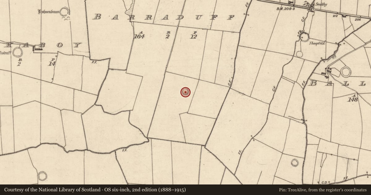Ordnance Survey six-inch map, 2nd edition (1888–1915) covering the location of Ringfort - rath, Barraduff, County Kerry, with a pin at the register's coordinates