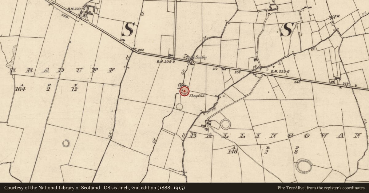 Ordnance Survey six-inch map, 2nd edition (1888–1915) covering the location of Souterrain, Lacka East, County Kerry, with a pin at the register's coordinates